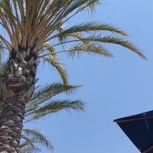 Meet your Posher, Dena